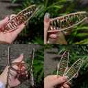 Big Butterfly Hair Accessories - 4.7" Acetate & Metal Clips for Women's Long, Thick Hair - 3 Pcs