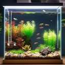 2 x 8 Pcs Shrimp Feeding Tube and Dish,Clear l Glass Fish Feeder Tube Tray for Plant Holder for Aquarium,Fish Tank Feeding Tray (8 inch)