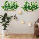 2 Pieces Cat Wall Shelves with 4 Steps Wall Mounted Cat Shelves and Perches Cat Wall Furniture for Cats Kitten Kitty Indoor Living Room Climbing Scratching Playing and Relaxing Playground