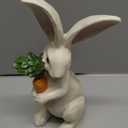 Newman House Studio Easter-Decorations Bunny-Decor Spring-Figurines Table-Centerpiece - 2PC Spring Decorations Resin Rabbits with Carrot and Flower Tabletop Ornaments for Home Farmhouse 4.5H inch