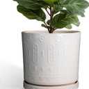 Eightpot Ceramic Pots for Plants 12 Inch - Large Ceramic Planters for Indoor Plants Outdoor Modern Flower Pot with Drainage Holes and Saucer for Office Garden Patio White