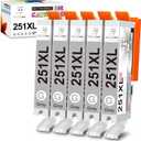 Miss Deer 251 Ink Cartridges Gray, Compatible Replacement for Canon 250 XL CLI-251XL GY PGI-250XL High Yield Work for Canon Pixma MG6320 MG7120 MG7520 iP8720 Printer 5-Pack (5 Grey)