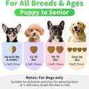 Dog Probiotics & Digestive Enzymes  Pumpkin Fiber Chews for Gut Health, Diarrhea & Upset Stomach Relief, Gas & Stool Support, Beef Flavor Soft Chews  90 Count