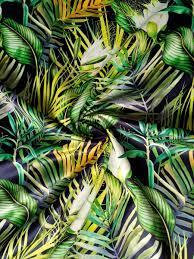 Tropical Jungle Plants Hanging Wall Decor