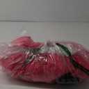 Morph Inflatable Flamingo Costume Adult, Flamingo Inflatable Costume, Blow Up Flamingo Costume, Flamingo Blow Up Costume, Adult Inflatable Costume