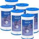 Future Way 6 Pack Type B Pool Filter Cartridge Replacement for Intex 29005E & 2500 GPH Pump, Fits Easy Set Above Ground Pools