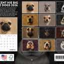 Vincent Hie Big Face Dog Calendar 2026 Monthly Wall Calender 12 Month | American Made In The USA