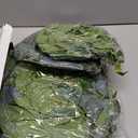 6 Pack Artificial Eucalyptus Garland with Willow Leaves Each 6.5 Feet Faux Greenery Garland for Wedding Arch Mirror DIY Garlands Decor