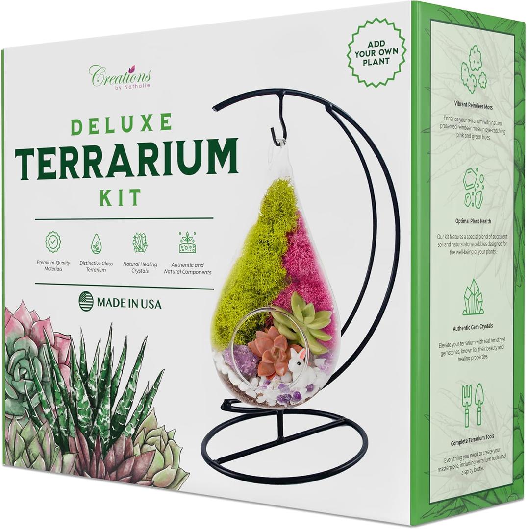 Creations by Nathalie 7" DIY Teardrop Terrarium Kit with Live Plants  Hanging Glass Planter with Stand for Adults & Kids  Build a Mini Ecosystem with Moss, Crystals, Tools  Made in The USA