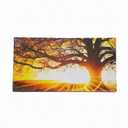 Sunset Forest Pictures Canvas Wall Art for Living room Office Bedroom Wall Decor,Forest Wall Art Print Paintings Modern Green Nature Landscape Artwork Waterproof Ready to Hang-24x48 inch