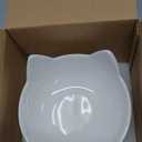 ABRUTY Cat Food Bowl, 5 OZ Ceramic Elevated Kitten Water Bowl, 15° Tilted Raised Pet Feeder, Anti Vomiting and Whisker Friendly Dishes for Fat Faced, Cat, Kitten, Small Dog