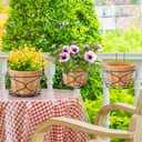 Noamus 3 Pack 10" Hanging Railing Planters Basket, Round Iron Rack Fence Shelf, Metal Wire Flower Pot Holder, Plants Hangers with Detachable Hook for Balcony Garden Indoor and Outdoor (Black)