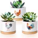 Vesici 3 Pcs Chicken Gifts for Women Chicken Planter Succulent Pots with Drainage and Bamboo Tray Small Ceramic Succulent Planters Animal Plant Pot for Christmas Office Home Decor Plant Lovers
