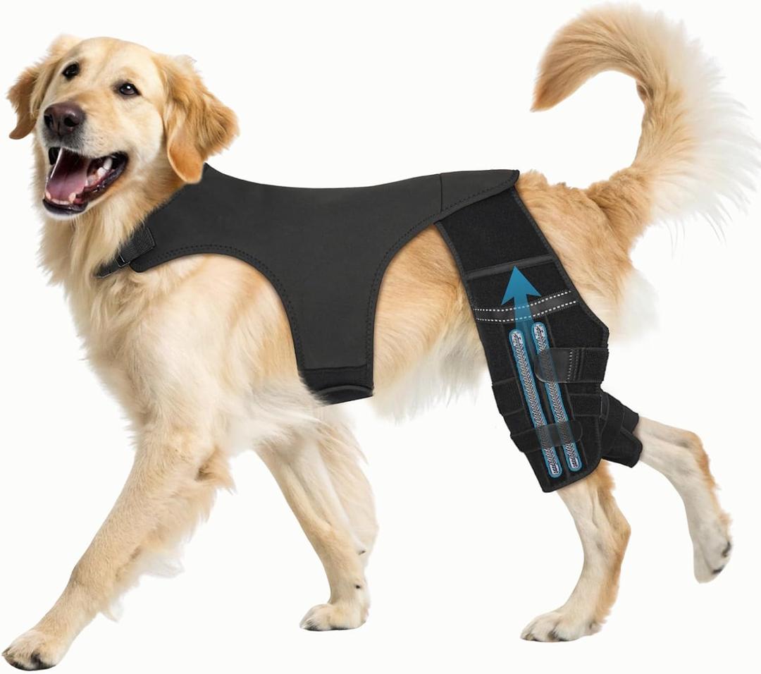 Dog Knee Brace for Torn ACL CCL Adjustable Dog Rear Leg Support Brace with 4 Metal Stabilizers, Helps with Luxating Patella, Ligament Injuries & Hip Dysplasia,L