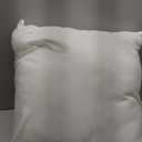 raajsee 20x20 Throw Pillow Inserts Set of 2 - Luxurious Comfort for Your Couch and Sofa | Fluffy, Soft & Durable | Perfect for Decorative Shams | Machine Washable (20x20 Inches/50x50 cms)