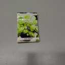 8 x Seeds Genovese Basil Indoor Herb Non GMO Heirloom for Planting
