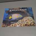 Angelfish Calendar 2026 Angel Fish Monthly Wall Calender 12 Month Tropical Fish Gifts | American Made In The USA