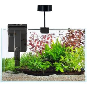 Fish Tank Starter Kits, Low Iron Glass Aquarium with Filter, Led Light for Aquascape DIY Small Betta Fish Tank (6 Gallons)