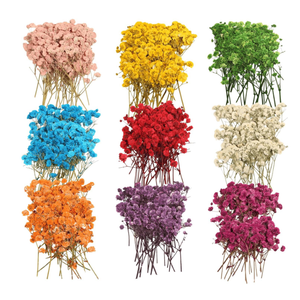 QinXunTa 9 Pack Dried Flowers, Natural Pressed Flowers Kit for DIY Crafts, Scrapbook, Card Making,9 Colors