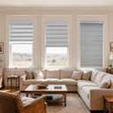 MYshade Cordless Zebra Blinds with Free-Stop Function - Dual Layer Light Filtering & Privacy Sheer Shades for Day and Night - Easy Install Window Shades for Home, Living Room, 29" W x 72" H,Grey