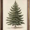 YHCTHT Vintage Christmas Tree Picture Wall Decor, Rustic Pine Tree Vintage Print, Winter Holiday Decor, Botanical Christmas Wall Art, Christmas Decoration Painting 8x10 inch Print Unframed