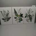 3Pcs Green Plants Canvas Wall Art Bohovegetation Wall Decor Pictures Sage Green Botanic Posters Prints Modern Botanical Paintings Artwork for Bedroom Bathroom Home Decoracion 16in x 2ft