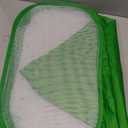 RESTCLOUD Insect and Butterfly Habitat Cage Terrarium Pop-up 12 X 12 X 12 Inches