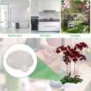 Flower Frog, Frogs for Arrangements Supplies, Floral Ikebana Stem Holder, Stem Pin Holders, Clear Plastic Ikebana Bowl (8pcs)