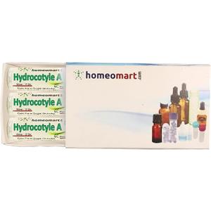 Homeomart.com Hydrocotyle Asiatica Homeopathy Pellets (Pills) in 6C Potency, Pack of 3