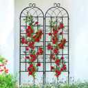 Lorenzo 2 Pcs 70 x 19.7 inch Metal Garden Trellis for Climbing Plants, Black Metal Coating Rustproof, Perfect for Supporting Climbing Plants Outdoor