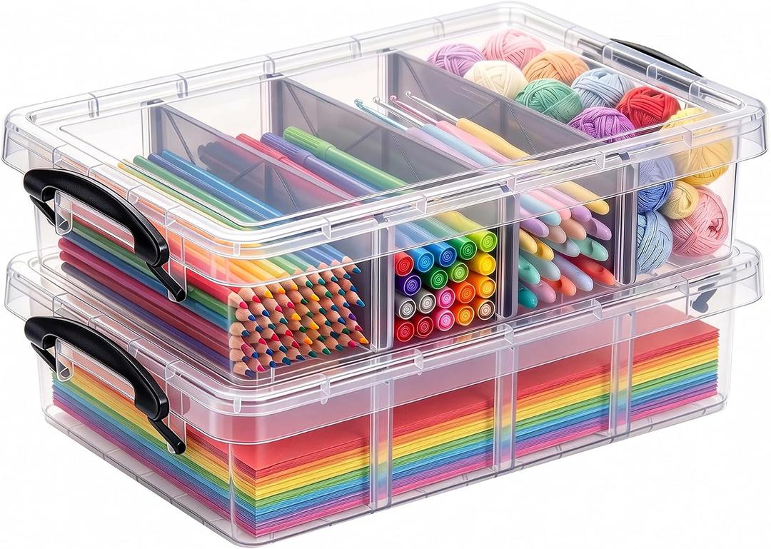 Citylife 2PC Storage Bins with Lids, Storage Box with Dividers