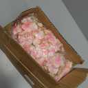 10PCS 59FT Artificial Silk Cherry Blossom Garland, Hanging Sakura Flower Vines for Wedding Party Home Arch Office Sakura Decor (Light Pink)