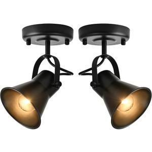 SEEBLEN Track Light Modern Ceiling Spot Lighting Indoor, Adjustable Wall Mount Accent Light,for Bedroom Living Room Hallway Kitchen Painting(2 Pack)
