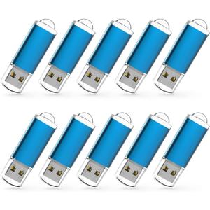 RAOYI 10 Pack 1GB 1G USB Flash Drive USB 2.0 Memory Stick Bulk Thumb Drive Pen Drive Blue