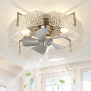 20" Low Profile Caged Ceiling Fan with Light and Remote