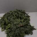 Artificial Cedar Garland for Christmas Decoration - Realistic Winter Greenery Garland for Mantel, Fireplace, Table, Door, Holiday Indoor Outdoor Decor 6FT (6FT Without Wire)