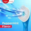 Colgate Max Fresh Wisp Disposable Mini Travel Toothbrushes, Peppermint, 24 Count (Pack of 4)