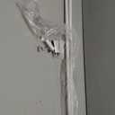 Lumino Cage Single Curtain Rod Set, 5/8" Diameter - Starting at $14.99 - (With Multiple Color Options), Curtain Rod, Drapery Rod, Decorative Rod, Décor, White, 30-84" Width