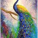 Peacock Wall Art Vintage Bird Canvas Wall Art Poster Peacock Painting Arts Modern Posters Prints Room Aesthetic for Living Room Bedroom Classroom Wall Decor Bird Nature Unframed 16x24 inches