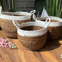 Two-Tone Seagrass Baskets with Handles - Set Of 3, Natural Brown With White