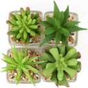 Briful Set of 4 Succulents Plants Artificial in Clear Glass Pots Small Fake Succulents Plants Mini Faux Plants Indoor for Window Sill Office Table Desk Shelf Bathroom Decor