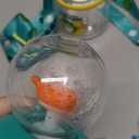 Drinking Cup With Whale Squirt, Weighted Sippy Cups With Adjustable Straps, 300ml Whale Water Cups With Silicone Soft Tip, Portable Leak Proof Straw Sippy Cup For Kids (A-Green)