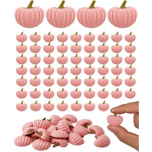 60PCS Mini Autumn Pumpkin Resin Charms, Flatback Mini Charms for Fall Crafts, Thanksgiving Halloween Decor, Breast Cancer Awareness Accessories for Resin DIY Embellishments (Pink)