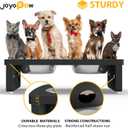 Elevated Dog Bowls, Bamboo Raised Dog Bowl for Small Dogs & Cats, with 2 Stainless Steel Bowls (4'' Tall-20oz Bowl, Black)