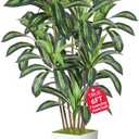 Realistic Artificial Indoor Plant Tree - Tall Fake Dracaena Potted Plant for Home Office Decor, Living Room & Bedroom - Lifelike Faux Plant Tree with Pot-Palm(White, 6FT)