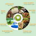 Mushroom Matcha with 6 Adaptogenic Mushrooms and Ceremonial-Grade Matcha, MCT Oil, Coconut Milk Powder for Better Energy, Focus, Digestion and Immunity, 30 servings (EXP 08/01/27)