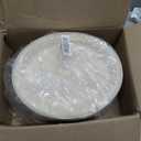 DaYammi 12 Inch Oval Paper Plates 125 Pack 100% Compostable Plates
