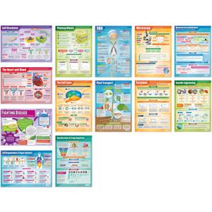 Daydream Education Biology Educational Science Posters – Set of 13 Biology Posters – EXTRA LARGE 33x23 Gloss Paper Classroom Wall Chart for STEM, Middle School, & High School – Science Classroom Decor, 33L" x 23.5W"