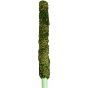 Galapagos 22205 Mossy Perch for Aquarium, 18", Fresh Green Galapagos 22205 Mossy Perch for Aquarium, 18", Fresh Green