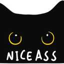 Cat Bath Mat Black Cat Rug Nice Ass Funny Cats Lovers Hydrophilic Polyurethane Floor Mat Non SIip Bath Mats Non SIip Bath Mats for Bathroom Kitchen Bedroom, Decorations Gift 27.5 x 22.0 Inches rug1049